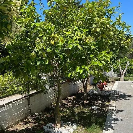 Apartmán Nikiana's View