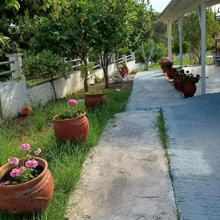 Nikiana's View